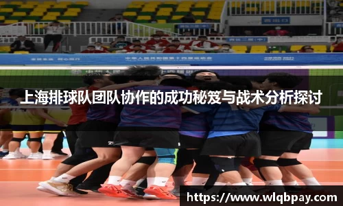上海排球队团队协作的成功秘笈与战术分析探讨